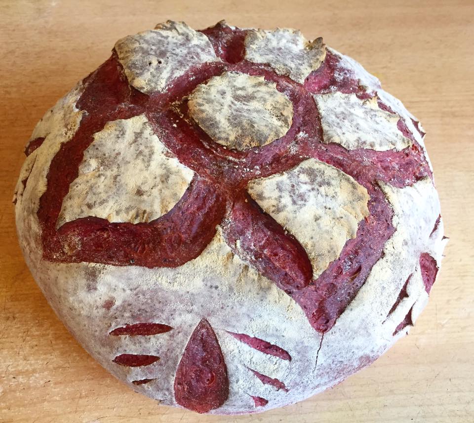 20638864_1671060662925632_5658258052514378075_n