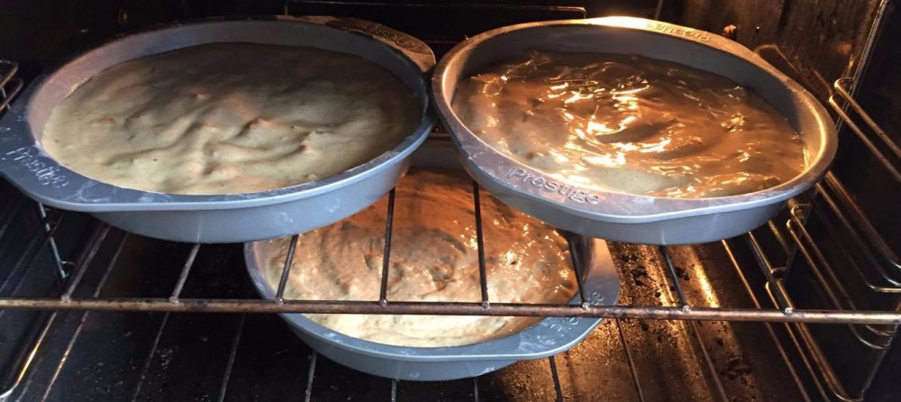 20676894_1668146783217020_402765897_o