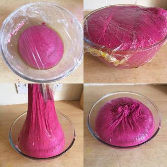 20991408_1682288931802805_102619976_o