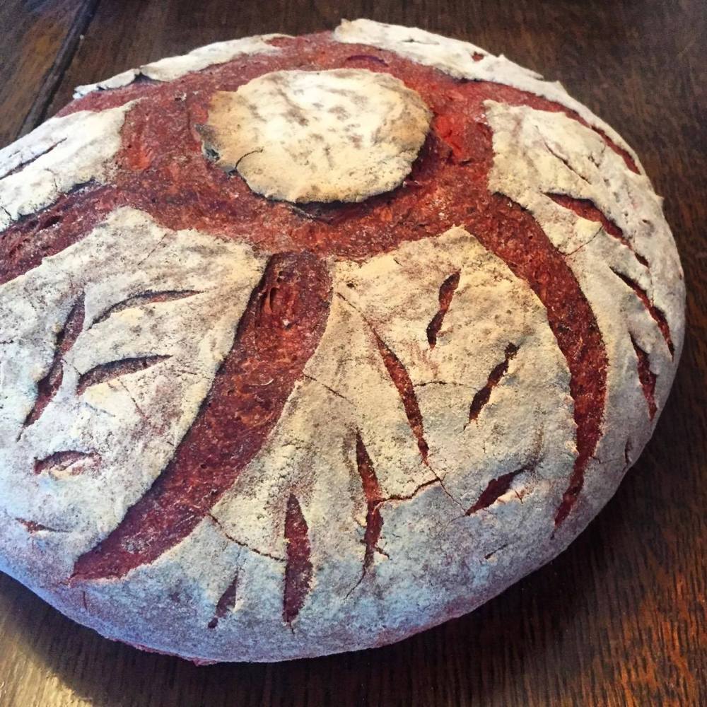 21014749_1682289148469450_2047981269_o