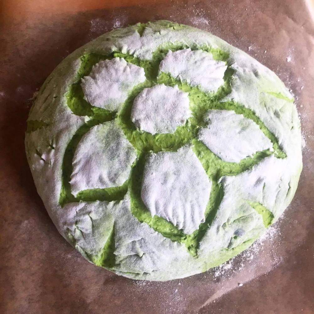 21035064_1682288958469469_674959272_o