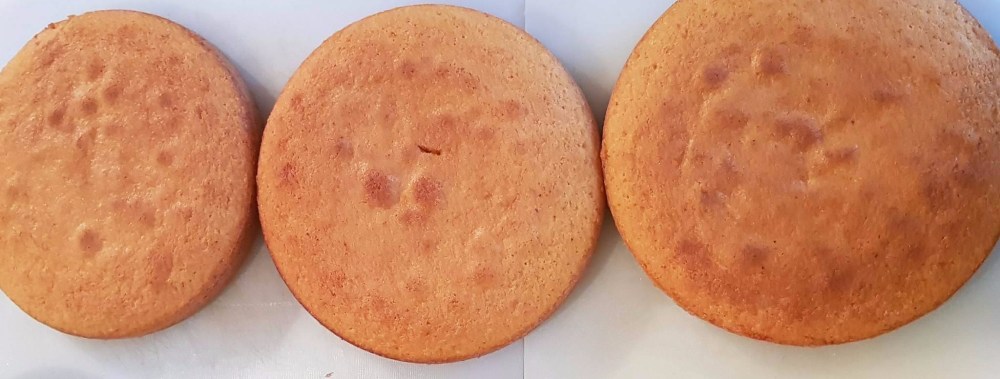 22217942_1723903047641393_2010105871_o