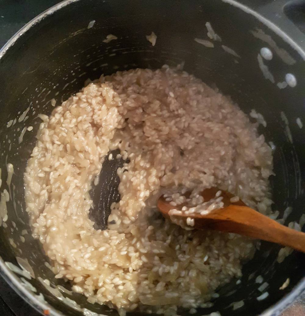 23770038_1772473546117676_858081885_o