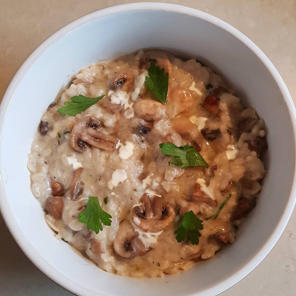 23798650_1772473539451010_351639102_o