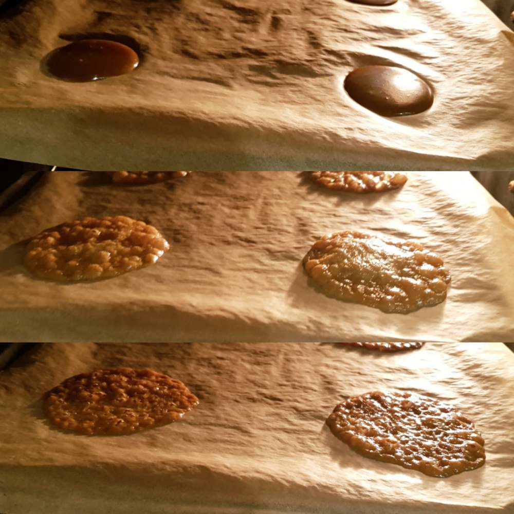 26771954_1825492077482489_313483823_o