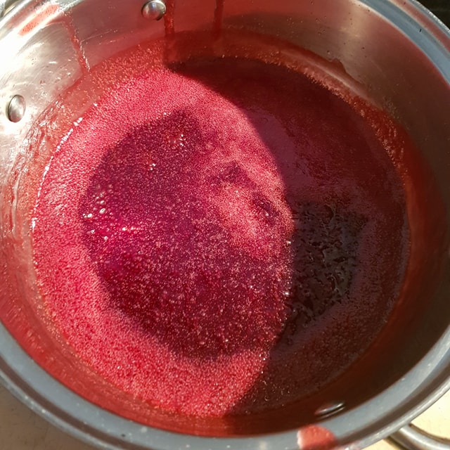 27661912_1855144971183866_48991869_n