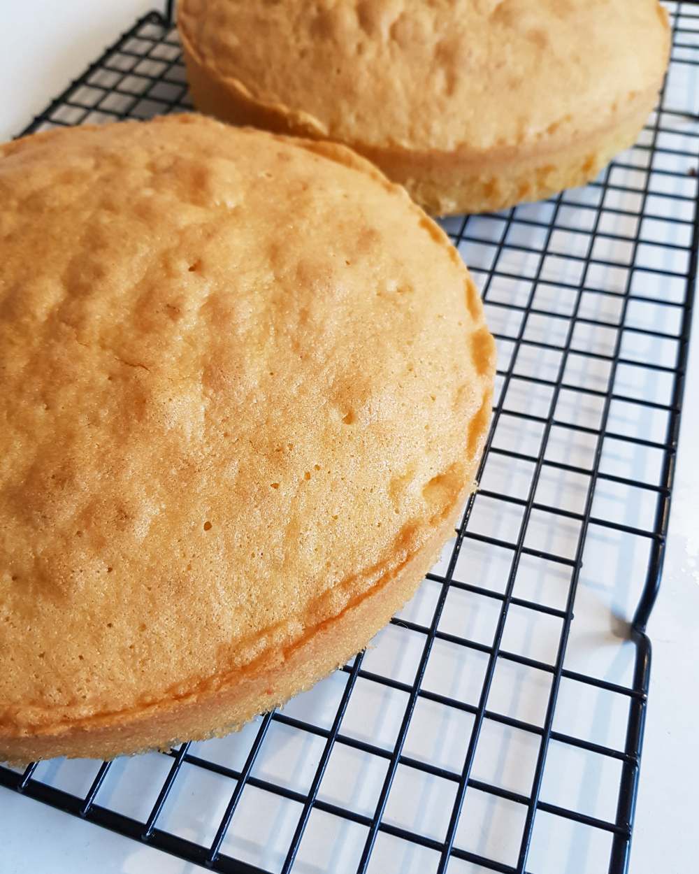 30727970_1932831926748503_3114284943857942528_n