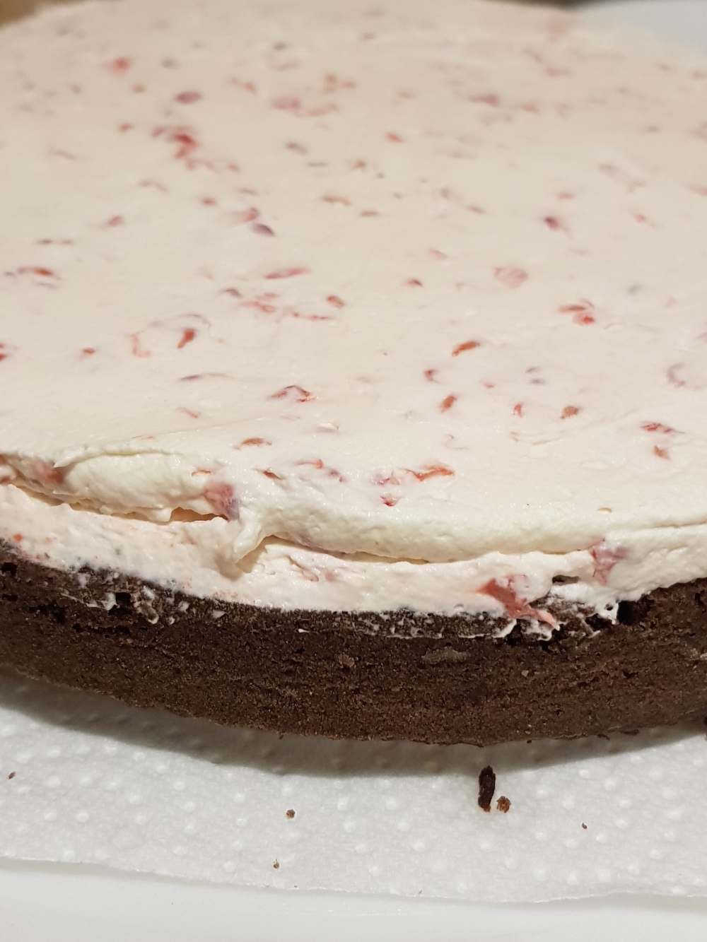 48056415_385482928882463_5257406996734279680_n