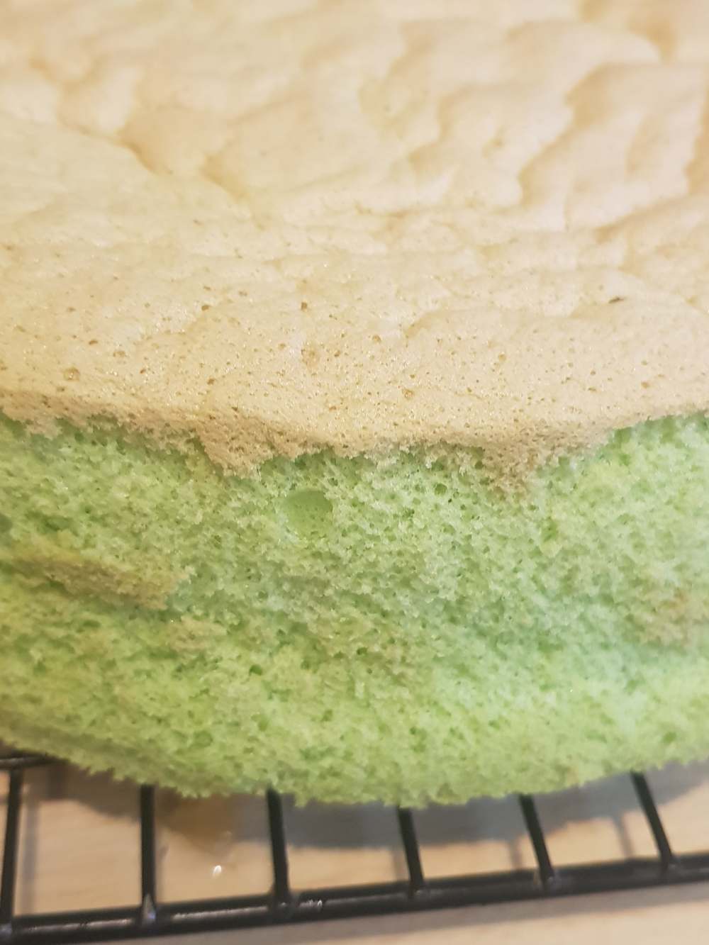 52605917_2228275250527480_1960062072750342144_n