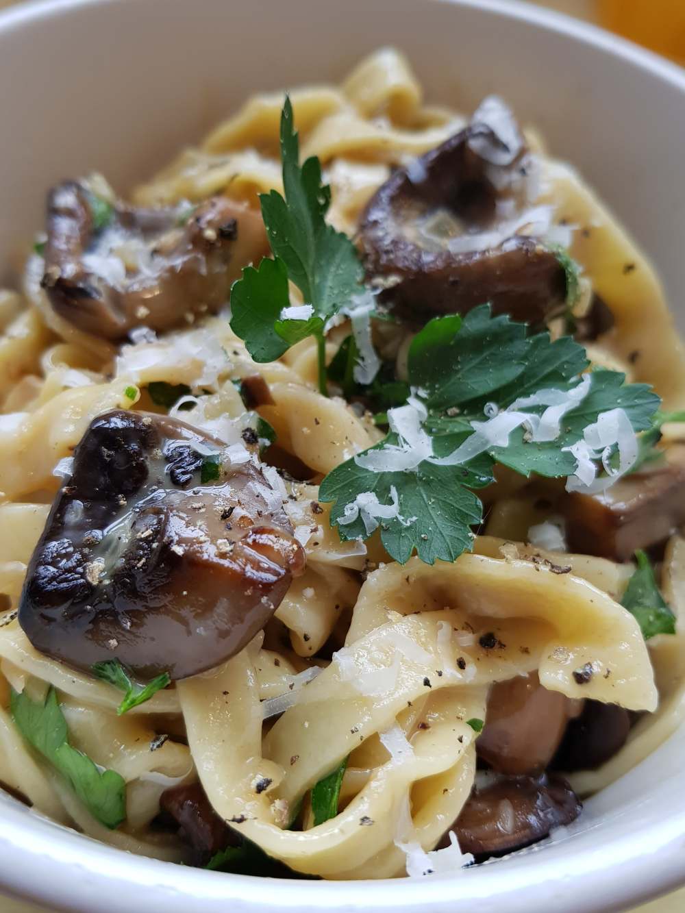 56360491_324563854929118_802077583385559040_n