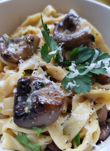 56591974_973925182811212_6212801817231753216_n