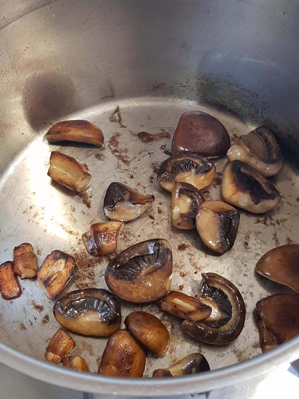 56852711_318206178897493_6110698599086030848_n