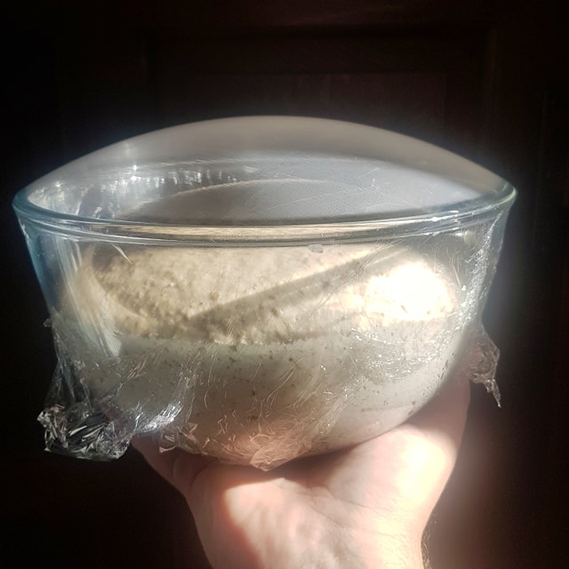 70779000_2459762187589320_883930043615543296_n